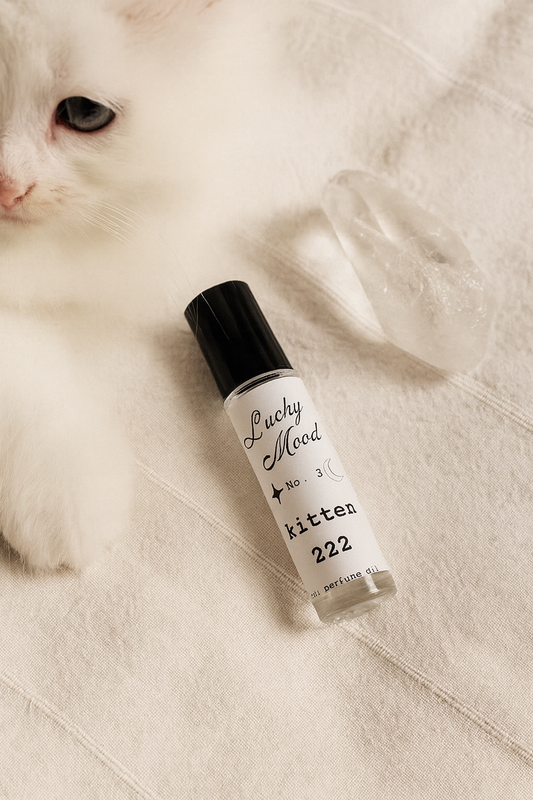 Kitten 222
